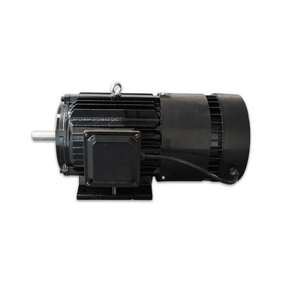 95.3% Permanent Magnet AC Motor Permanent Magnet Synchronous Machines 100 - 200Hz