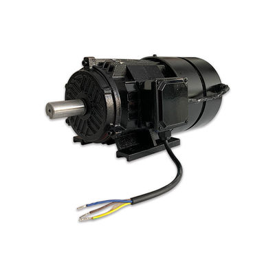 Installation Mode B3/B35 Versatile Permanent Magnet Drive Integrated Motor With Adjustable Frequency
