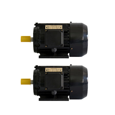 Installation Mode B3/B35 Versatile Permanent Magnet Drive Integrated Motor With Adjustable Frequency