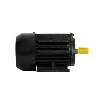 High Efficiency Permanent Magnet Rotor Energy Saving IB35 High Torque Permanent Magnet Motor